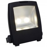 Ansell Lighting AMLED100 Mira LED Floodlight - 100W Cool White - Graphite