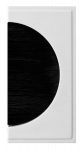 CLICK MM550WH NEW MEDIA Polar White (Black Bristles) Single Brush Module
