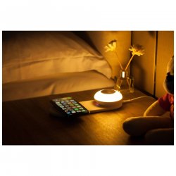 Link2Home P9WIRELESS