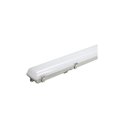 Bell Lighting 06767