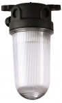 WISKA 10015000 (2000/E27/clear) Multi-purpose light, 75W, E27, PBT, clear, IP68